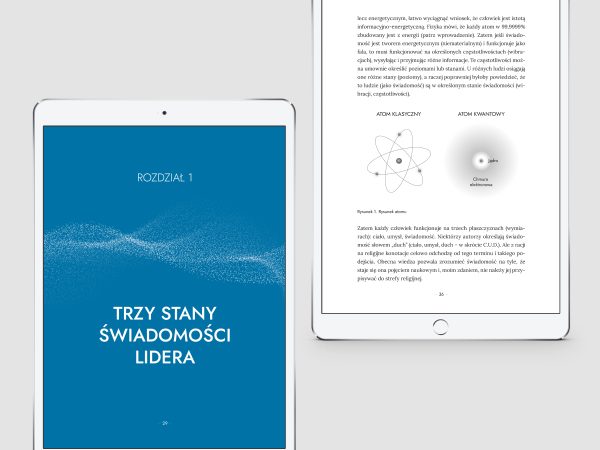 Skok Kwantowy w życiu i biznesie - e-book - obrazek 3