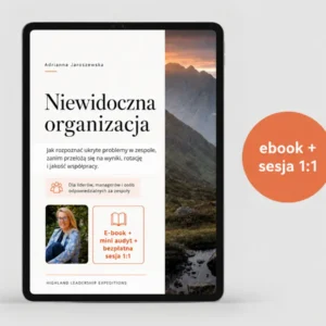 Niewidoczna organizacja - ebook