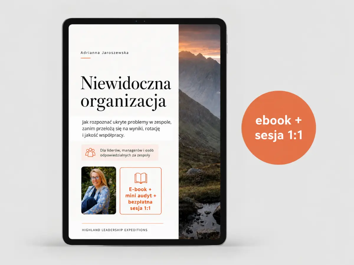 Niewidoczna organizacja - ebook